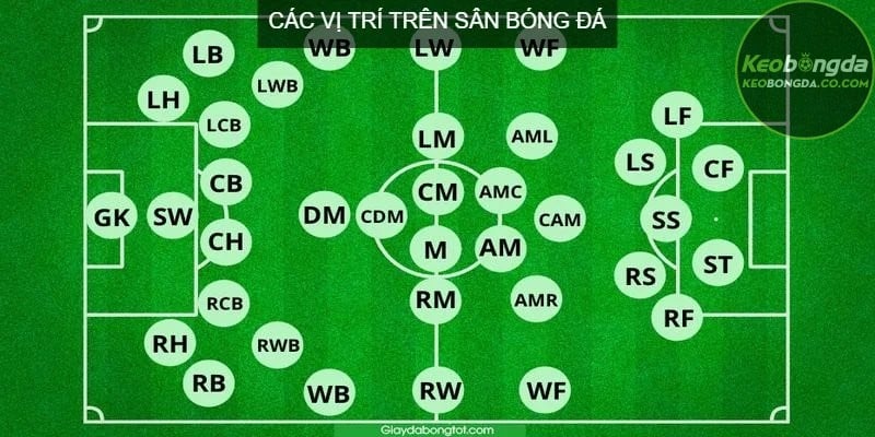 Tổng quan về các vị trí trên sân bóng đá