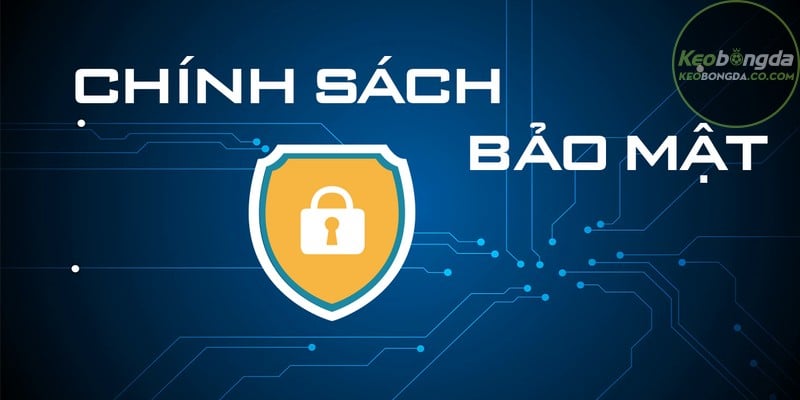 Một số câu hỏi thường gặp về chính sách bảo mật labor.ru.com