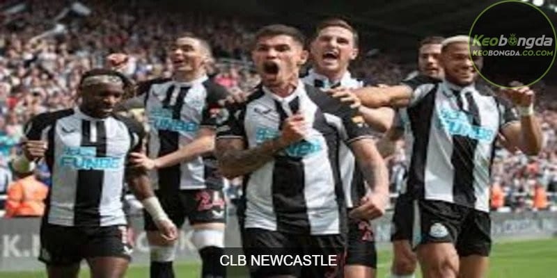 CLB Newcastle United với đội hình người hâm mộ trung thành và cuồng nhiệt