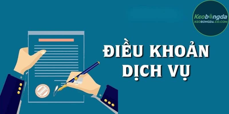 Cách thức cập nhật điều khoản và dịch vụ labor.ru.com