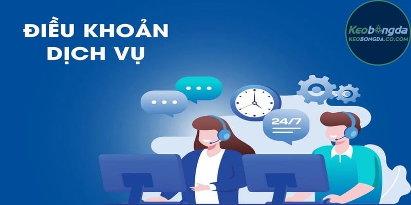 Những lợi ích khi hiểu rõ điều khoản và dịch vụ labor.ru.com