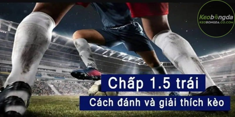 Các yếu tố ảnh hưởng đến kết quả kèo 1 1/2