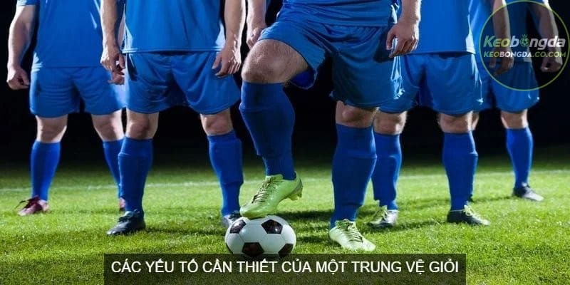 Trung vệ tiếng Anh là gì? Các yếu tố cần thiết của một trung vệ giỏi
